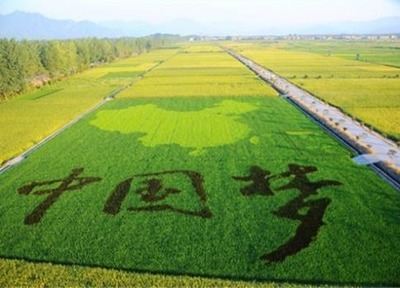 农村行政许开始规范！自2022年1月15日起，农业农村部行政许可实施管理...